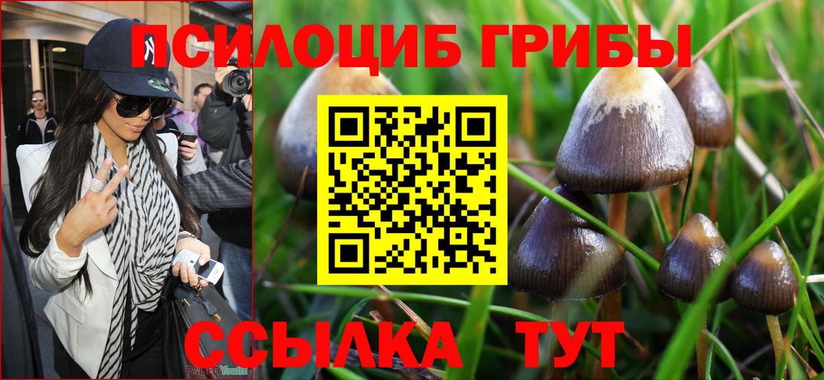 Псилоцибиновые грибы Psilocybine cubensis  Галлюциногенные грибы GOLDEN TEACHER  Похвистнево  Вход с VPN 